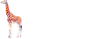 Giraffe — Элитное экскорт-агентство в Санкт-Петербурге